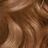 chestnut blonde fade resist hair color