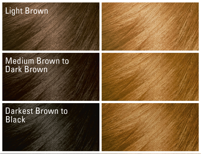 Fade Resist Honey Blonde Hair Color Dye | SoftSheen Carson